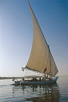 Felucca