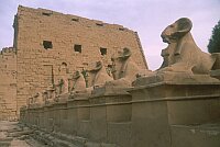 Amun Temple of Karnak