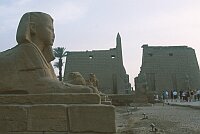 Luxor Temple